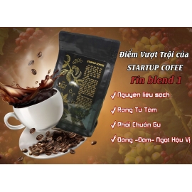FIN BLEND 1