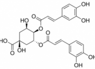 AXIT CHLOROGENIC